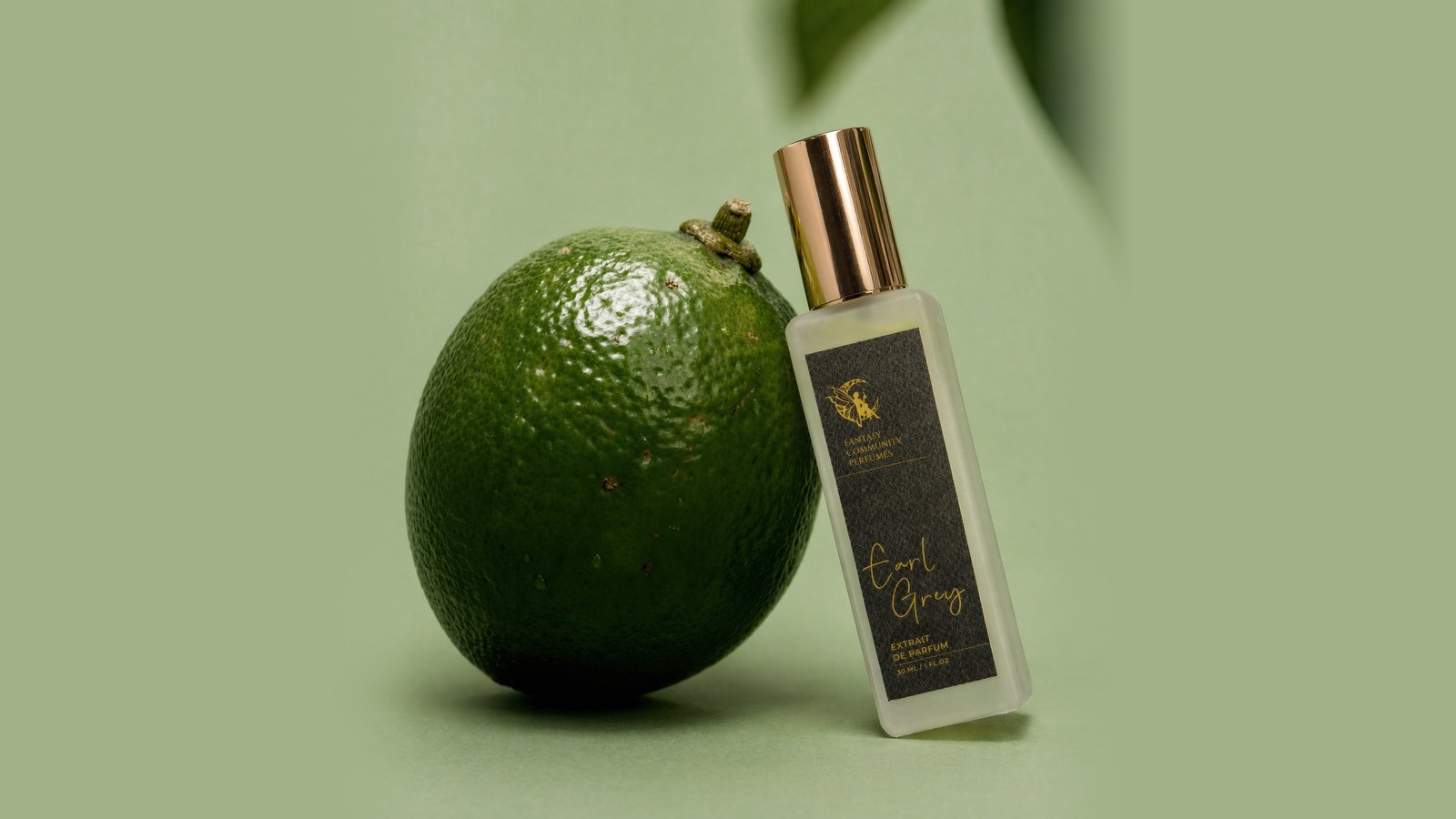FCP Earl Grey Extrait de Parfum bottle leaning on a whole green lime on a sage-green background